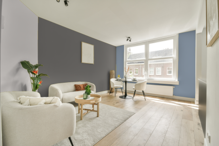 kamer in kleur Mild grey met designkleuren op de wanden