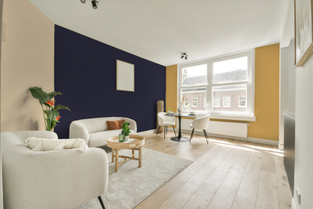 kamer in kleur Ral 290 20 15 met designkleuren op de wanden