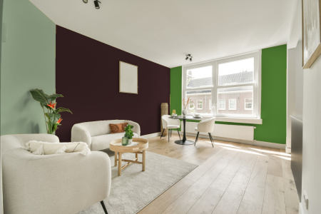 kamer in kleur Ral 3007 met designkleuren op de wanden