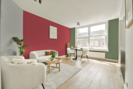 kamer in kleur Ral 3017 met designkleuren op de wanden