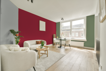 kamer in kleur Ral 3027 met designkleuren op de wanden