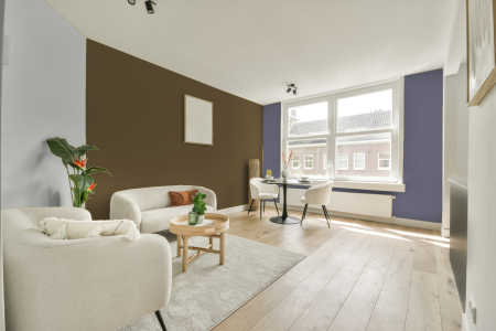 kamer in kleur Ral 7008 met designkleuren op de wanden