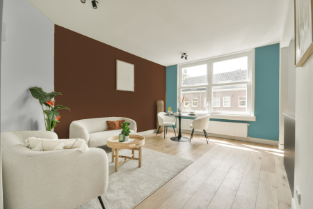 kamer in kleur Ral 8007 met designkleuren op de wanden