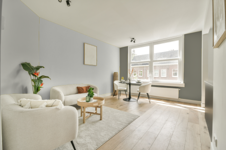 woonkamer met neutrale kleuren en Delicate grey