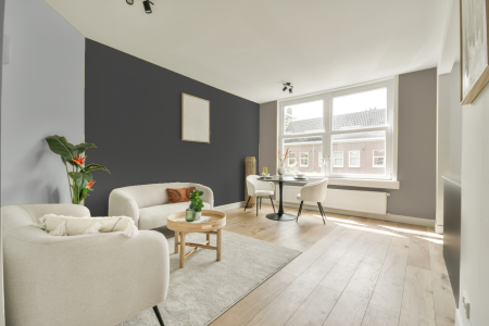 woonkamer met neutrale kleuren en Ral 000 40 00