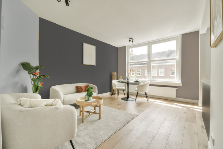 woonkamer met neutrale kleuren en Ral 000 45 00