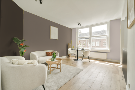 woonkamer met neutrale kleuren en Ral 070 60 10