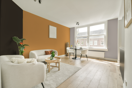 woonkamer met neutrale kleuren en Ral 070 70 50