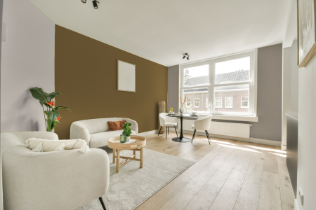 woonkamer met neutrale kleuren en Ral 080 50 30