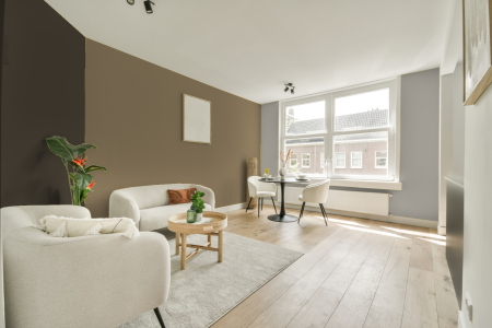 woonkamer met neutrale kleuren en Ral 080 60 20