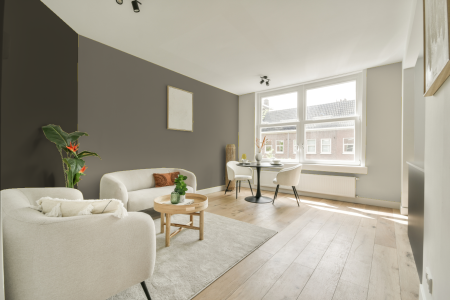 woonkamer met neutrale kleuren en Ral 090 60 10