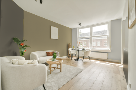 woonkamer met neutrale kleuren en Ral 090 70 20