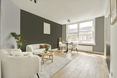 woonkamer met neutrale kleuren en Ral 095 40 10