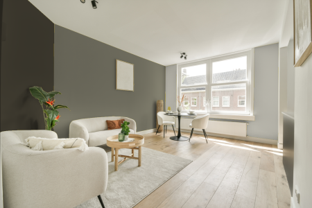 woonkamer met neutrale kleuren en Ral 100 60 10