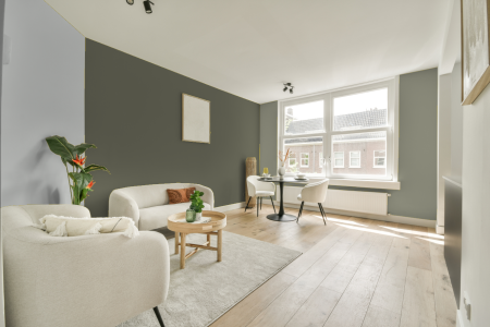 woonkamer met neutrale kleuren en Ral 110 50 10