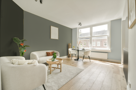 woonkamer met neutrale kleuren en Ral 110 60 10