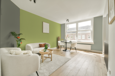 woonkamer met neutrale kleuren en Ral 110 80 40