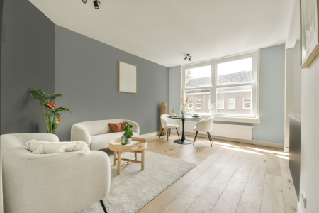 woonkamer met neutrale kleuren en Ral 120 70 05