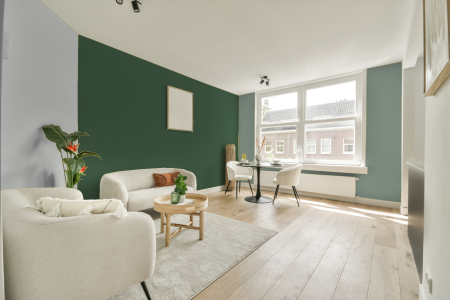 woonkamer met neutrale kleuren en Ral 150 40 20