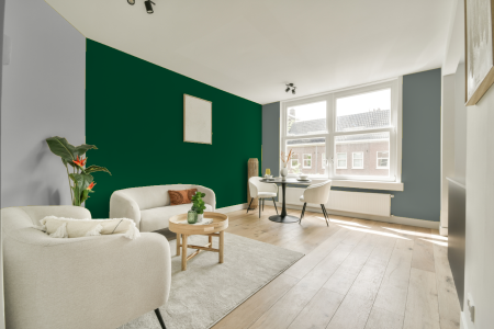 woonkamer met neutrale kleuren en Ral 160 30 35