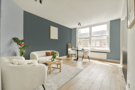 woonkamer met neutrale kleuren en Ral 180 50 05