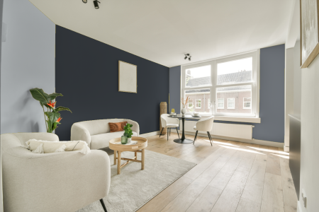 woonkamer met neutrale kleuren en Ral 260 30 05