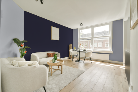 woonkamer met neutrale kleuren en Ral 290 20 15