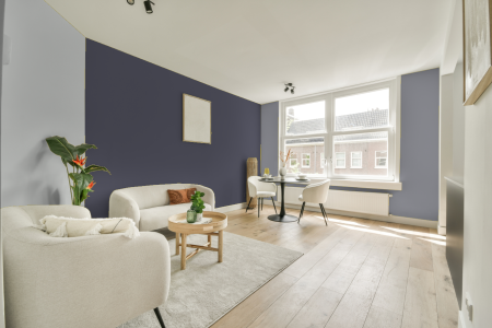 woonkamer met neutrale kleuren en Ral 290 40 10