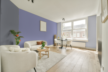 woonkamer met neutrale kleuren en Ral 290 70 20