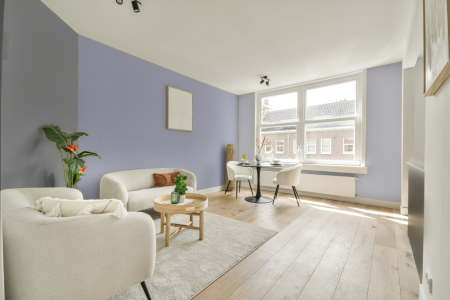 woonkamer met neutrale kleuren en Ral 290 80 10