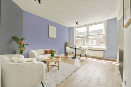 woonkamer met neutrale kleuren en Ral 290 80 15