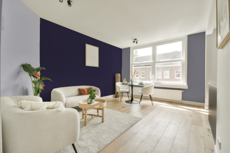 woonkamer met neutrale kleuren en Ral 300 20 20