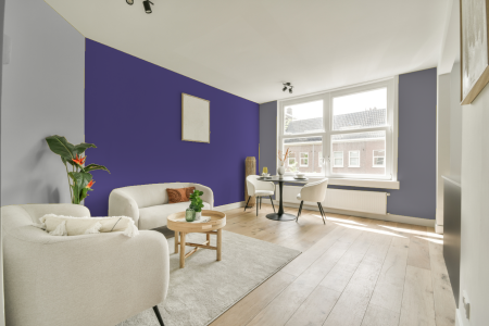 woonkamer met neutrale kleuren en Ral 300 40 40