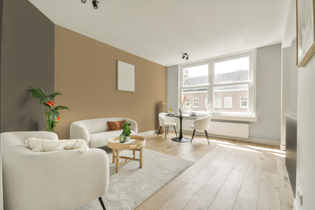 woonkamer met neutrale kleuren en Ral 1001