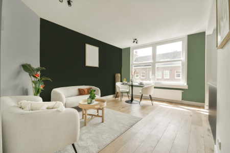 woonkamer met neutrale kleuren en Ral 6007