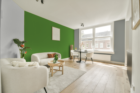 woonkamer met neutrale kleuren en Ral 6018