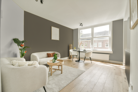 woonkamer met neutrale kleuren en Ral 7002