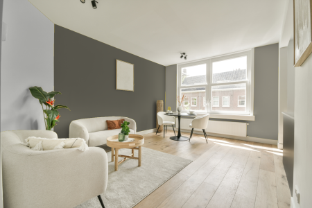 woonkamer met neutrale kleuren en Ral 7003