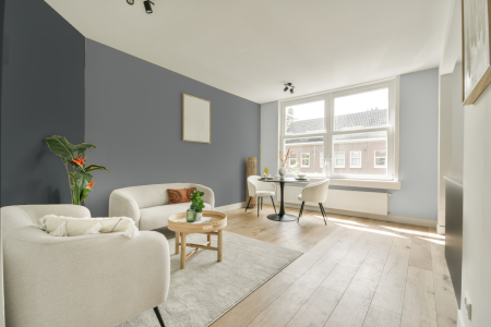 woonkamer met neutrale kleuren en Ral 7004