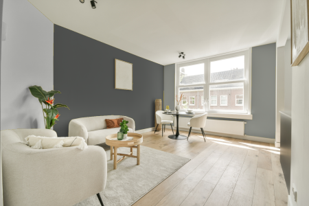 woonkamer met neutrale kleuren en Ral 7005