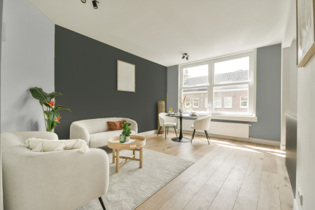 woonkamer met neutrale kleuren en Ral 7009