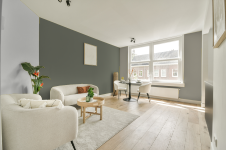 woonkamer met neutrale kleuren en Ral 7033