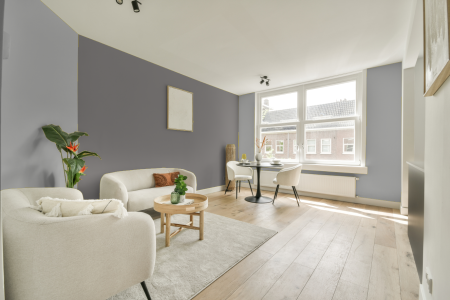 woonkamer met neutrale kleuren en Ral 7036