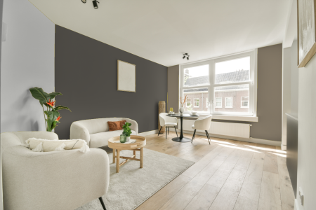 woonkamer met neutrale kleuren en Ral 7039