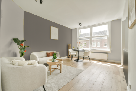 woonkamer met neutrale kleuren en Ral 7048