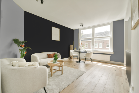 woonkamer met neutrale kleuren en Ral 9004