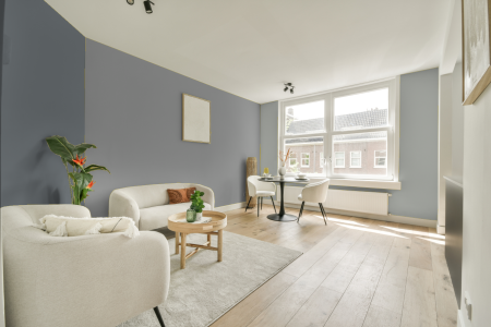 woonkamer met neutrale kleuren en Ral 9006