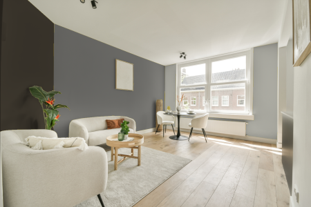 woonkamer met neutrale kleuren en Ral 9007