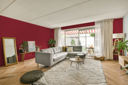 moderne living in de kleur S 2070-r