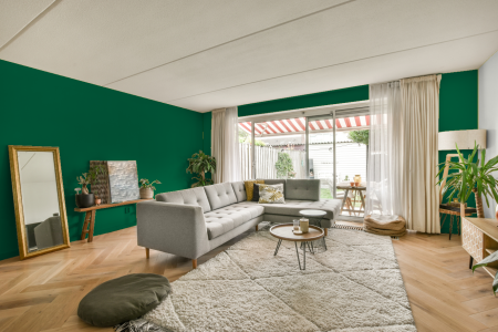 moderne living in de kleur S 4050-g